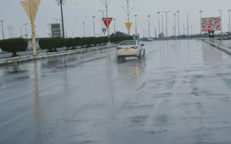 الحصيني يحذر: موجة برد قطبية رابعة تغرق 7 مناطق بأمطار وصقيع تحت الصفر في 72 ساعة